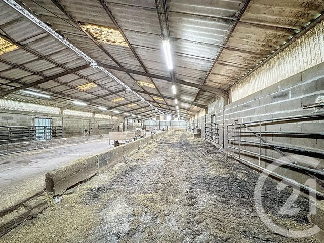 Terrain à vendre - 37628 m2 - Chatillon Sur Cher - 41 - CENTRE