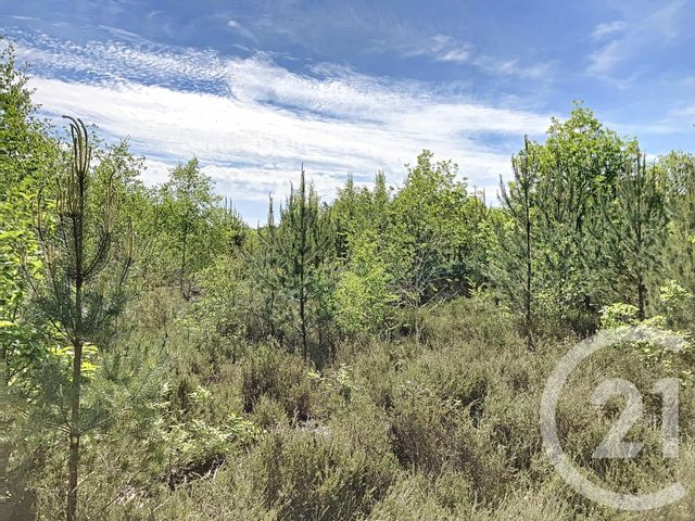 Terrain à vendre - 474003 m2 - Nouan Le Fuzelier - 41 - CENTRE