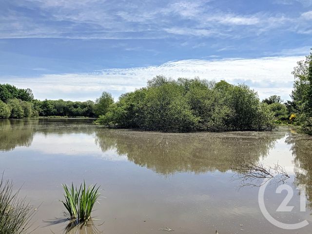 Terrain à vendre - 474003 m2 - Nouan Le Fuzelier - 41 - CENTRE