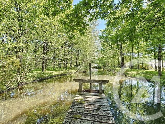 Maison à vendre - 7 pièces - 164,04 m2 - Romorantin Lanthenay - 41 - CENTRE