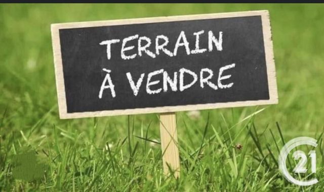 Terrain &agrave; vendre - 7492 m2 - Mur De Sologne - 41 - CENTRE