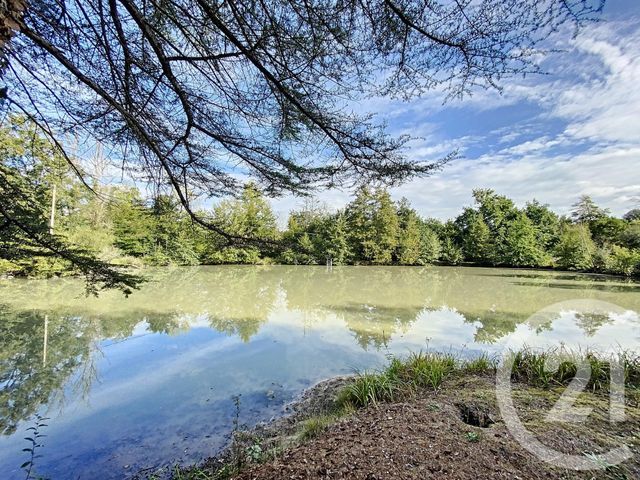 Terrain à vendre - 10666 m2 - Vernou En Sologne - 41 - CENTRE