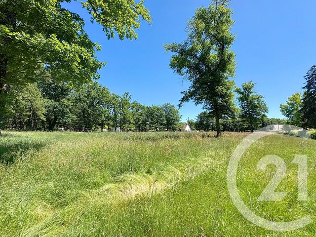 terrain - VILLEFRANCHE SUR CHER - 41