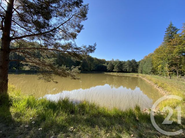 Maison &agrave; vendre - 4 pi&egrave;ces - 180 m2 - 18 - CENTRE