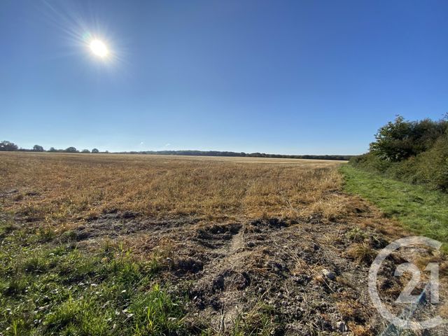 Maison &agrave; vendre - 4 pi&egrave;ces - 180 m2 - 18 - CENTRE