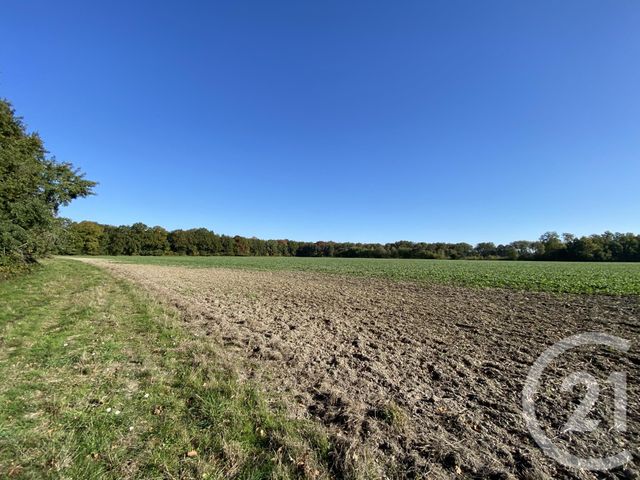 Maison &agrave; vendre - 4 pi&egrave;ces - 180 m2 - 18 - CENTRE