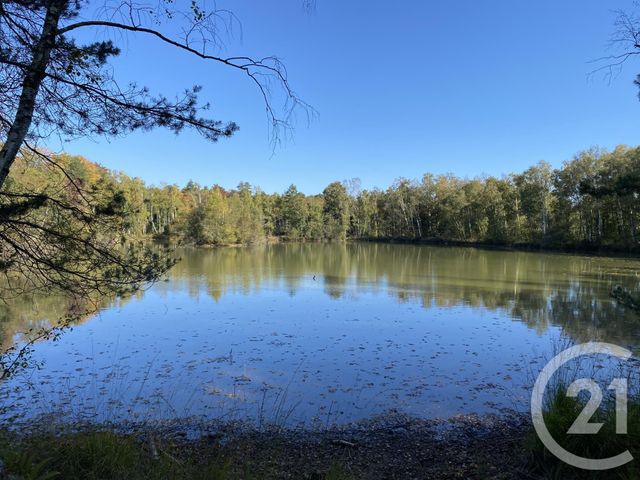 Maison &agrave; vendre - 4 pi&egrave;ces - 180 m2 - 18 - CENTRE