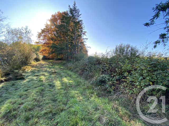 Maison &agrave; vendre - 4 pi&egrave;ces - 180 m2 - 18 - CENTRE