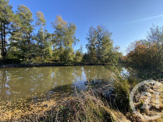 Maison &agrave; vendre - 4 pi&egrave;ces - 180 m2 - 18 - CENTRE