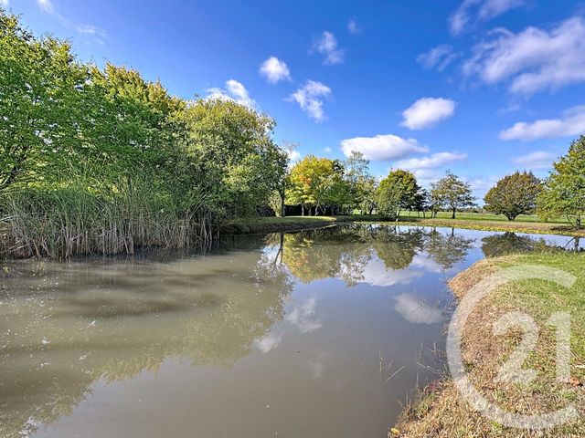 Maison &agrave; vendre - 7 pi&egrave;ces - 234,92 m2 - 41 - CENTRE