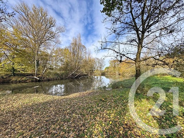 terrain - BILLY - 41