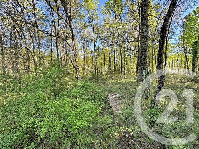 Terrain &agrave; vendre - 56730 m2 - Lassay Sur Croisne - 41 - CENTRE