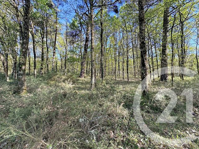 Terrain &agrave; vendre - 56730 m2 - Lassay Sur Croisne - 41 - CENTRE