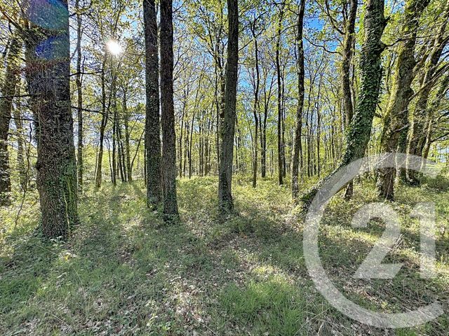 Terrain &agrave; vendre - 56730 m2 - Lassay Sur Croisne - 41 - CENTRE