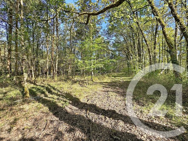 Terrain &agrave; vendre - 56730 m2 - Lassay Sur Croisne - 41 - CENTRE