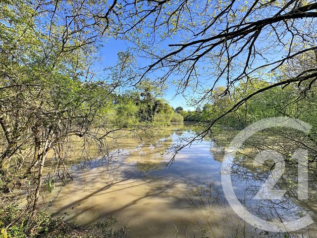 Terrain &agrave; vendre - 56730 m2 - Lassay Sur Croisne - 41 - CENTRE