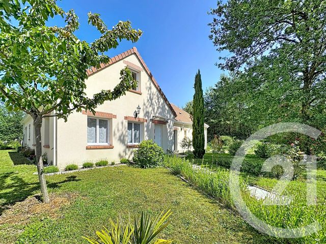 maison - PRUNIERS EN SOLOGNE - 41