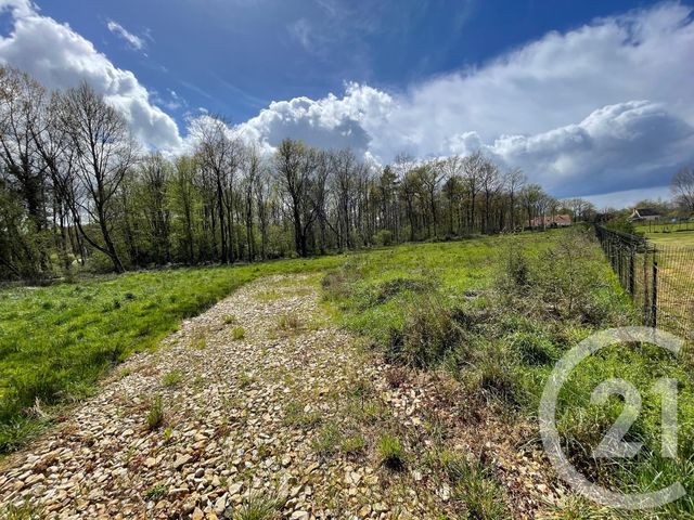 Terrain &agrave; vendre - 6804 m2 - Villefranche Sur Cher - 41 - CENTRE