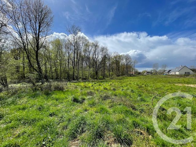 Terrain &agrave; vendre - 6804 m2 - Villefranche Sur Cher - 41 - CENTRE