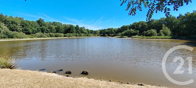 Terrain &agrave; vendre - 80690 m2 - Veilleins - 41 - CENTRE
