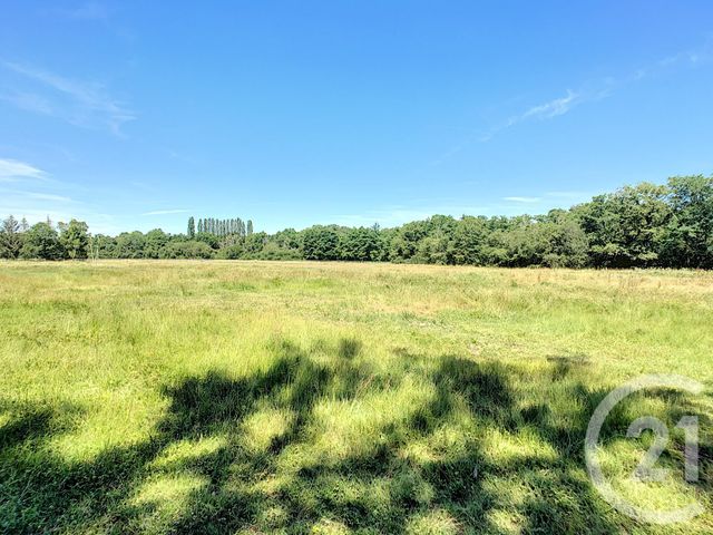 Maison &agrave; vendre - 7 pi&egrave;ces - 214 m2 - Neuvy Sur Barangeon - 18 - CENTRE