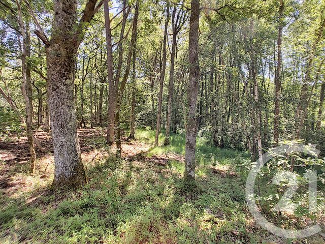 Maison &agrave; vendre - 7 pi&egrave;ces - 214 m2 - Neuvy Sur Barangeon - 18 - CENTRE