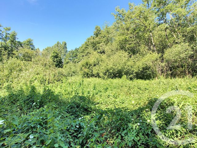 Maison &agrave; vendre - 7 pi&egrave;ces - 214 m2 - Neuvy Sur Barangeon - 18 - CENTRE