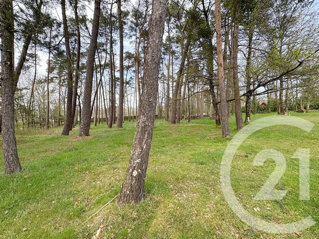 Maison à vendre - 9 pièces - 195,20 m2 - Theillay - 41 - CENTRE