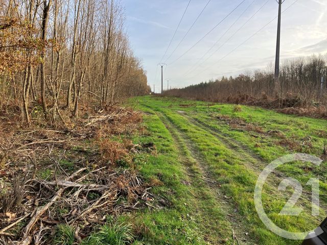 Maison à vendre - 8 pièces - 247 m2 - Vouzon - 41 - CENTRE