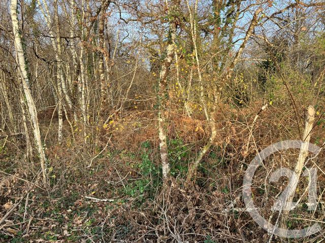 Maison à vendre - 8 pièces - 247 m2 - Vouzon - 41 - CENTRE