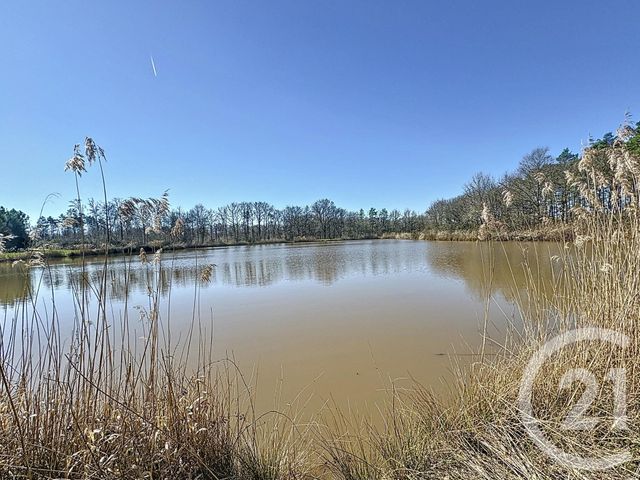 Terrain à vendre - 25600 m2 - Veilleins - 41 - CENTRE