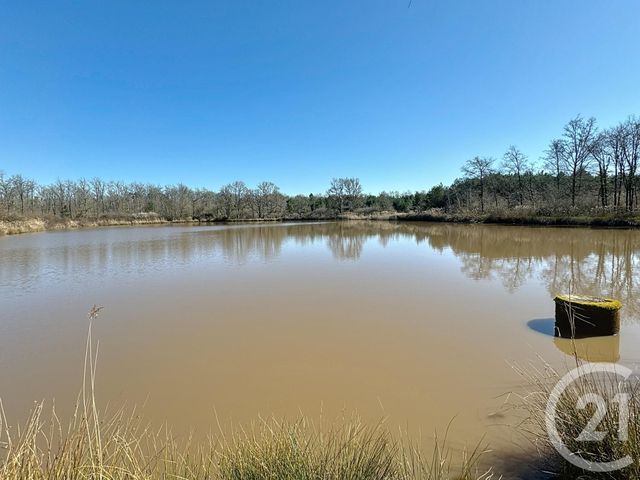 terrain - VEILLEINS - 41