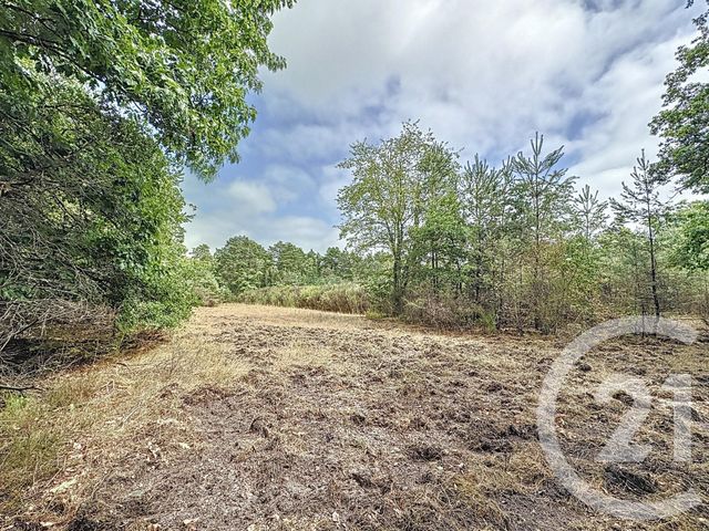 Maison à vendre - 14 pièces - 344 m2 - Souesmes - 41 - CENTRE