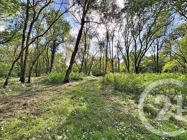 Maison &agrave; vendre - 8 pi&egrave;ces - 219,44 m2 - La Ferte Imbault - 41 - CENTRE