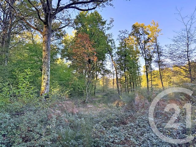 Maison à vendre - 24 pièces - 869,70 m2 - 18 - CENTRE