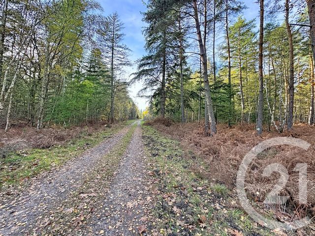 Maison &agrave; vendre - 13 pi&egrave;ces - 289 m2 - Lamotte Beuvron - 41 - CENTRE