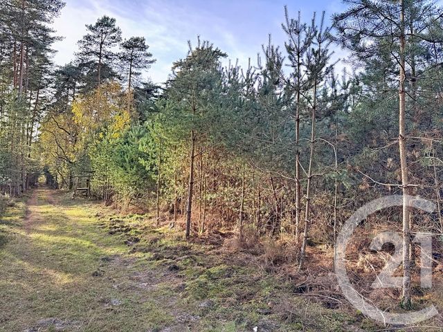 Maison &agrave; vendre - 13 pi&egrave;ces - 289 m2 - Lamotte Beuvron - 41 - CENTRE