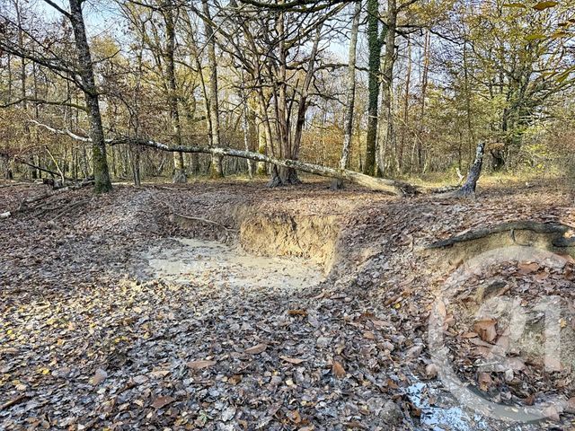 Maison &agrave; vendre - 13 pi&egrave;ces - 289 m2 - Lamotte Beuvron - 41 - CENTRE