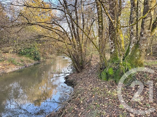 Maison &agrave; vendre - 13 pi&egrave;ces - 289 m2 - Lamotte Beuvron - 41 - CENTRE