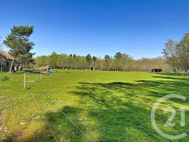 Maison &agrave; vendre - 9 pi&egrave;ces - 193 m2 - Vouzon - 41 - CENTRE