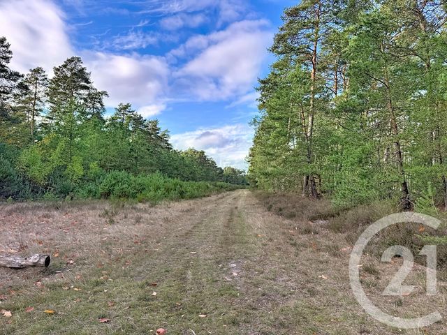 Maison à vendre - 10 pièces - 500 m2 - Souesmes - 41 - CENTRE