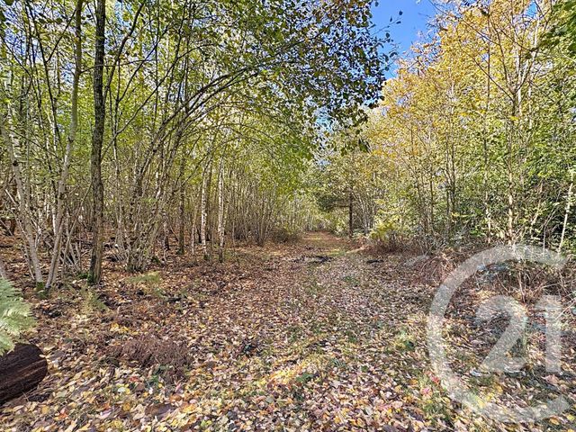 Maison à vendre - 10 pièces - 500 m2 - Souesmes - 41 - CENTRE