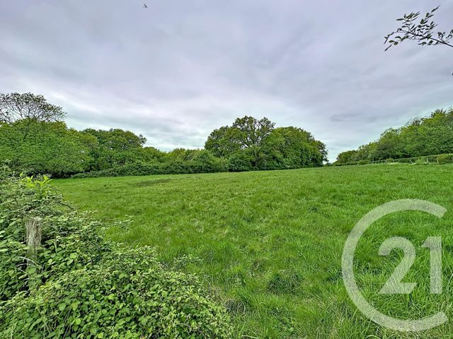 Maison &agrave; vendre - 3 pi&egrave;ces - 75,10 m2 - Chatres Sur Cher - 41 - CENTRE
