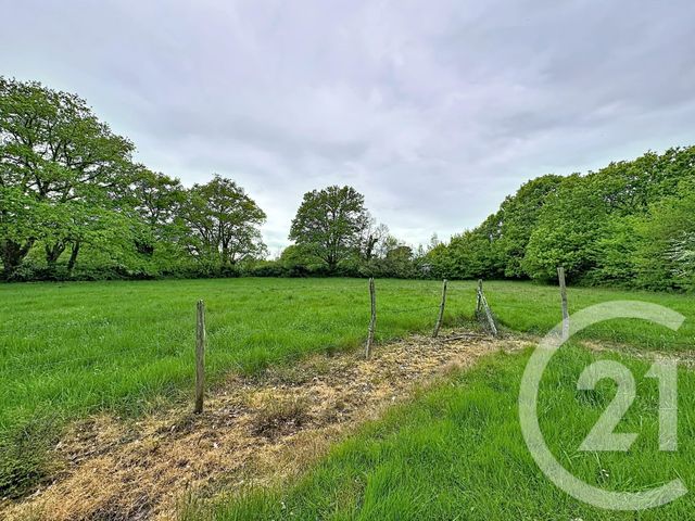 Maison &agrave; vendre - 3 pi&egrave;ces - 75,10 m2 - Chatres Sur Cher - 41 - CENTRE