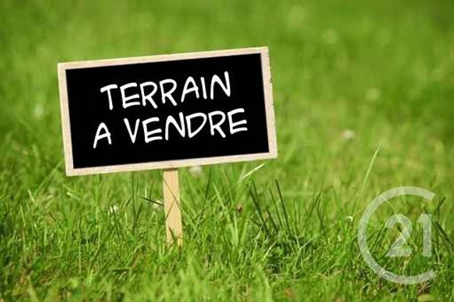 terrain - NOUAN LE FUZELIER - 41