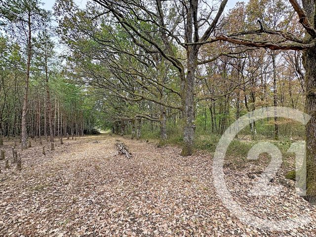 Maison &agrave; vendre - 3 pi&egrave;ces - 116,51 m2 - Marcilly En Gault - 41 - CENTRE