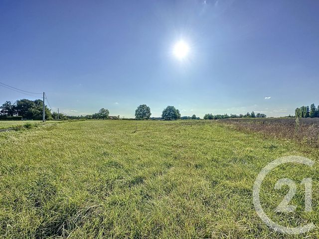 Terrain à vendre - 18178 m2 - Montrieux En Sologne - 41 - CENTRE