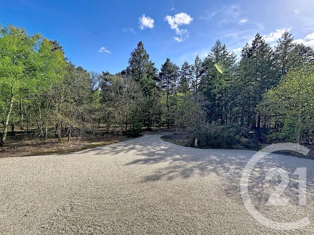 Maison &agrave; vendre - 4 pi&egrave;ces - 110 m2 - Lamotte Beuvron - 41 - CENTRE