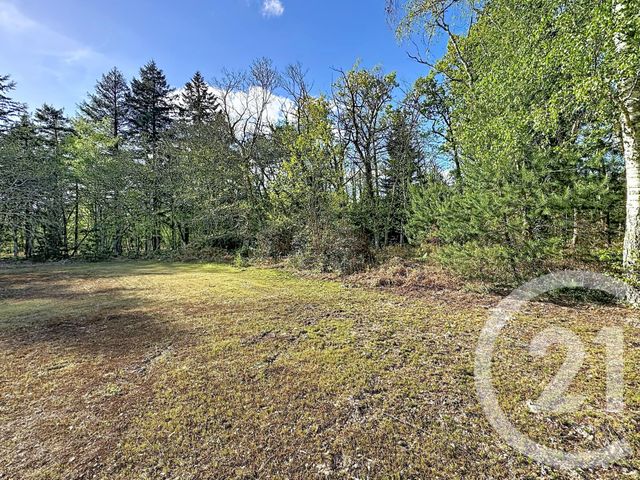 Maison &agrave; vendre - 4 pi&egrave;ces - 110 m2 - Lamotte Beuvron - 41 - CENTRE