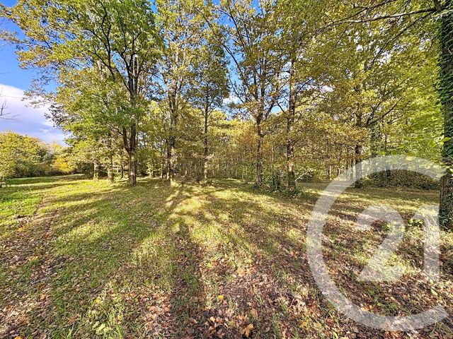 Maison à vendre - 10 pièces - 251,50 m2 - Nouan Le Fuzelier - 41 - CENTRE